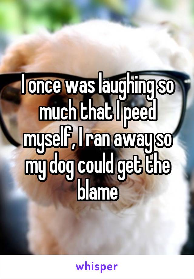 I once was laughing so much that I peed myself, I ran away so my dog could get the blame