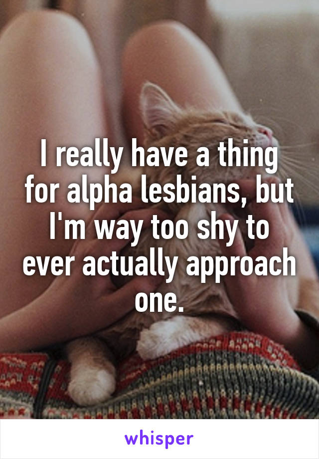 I really have a thing for alpha lesbians, but I'm way too shy to ever actually approach one.