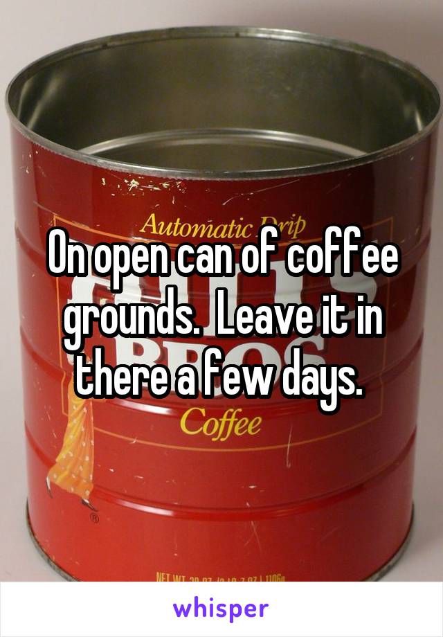 On open can of coffee grounds.  Leave it in there a few days. 
