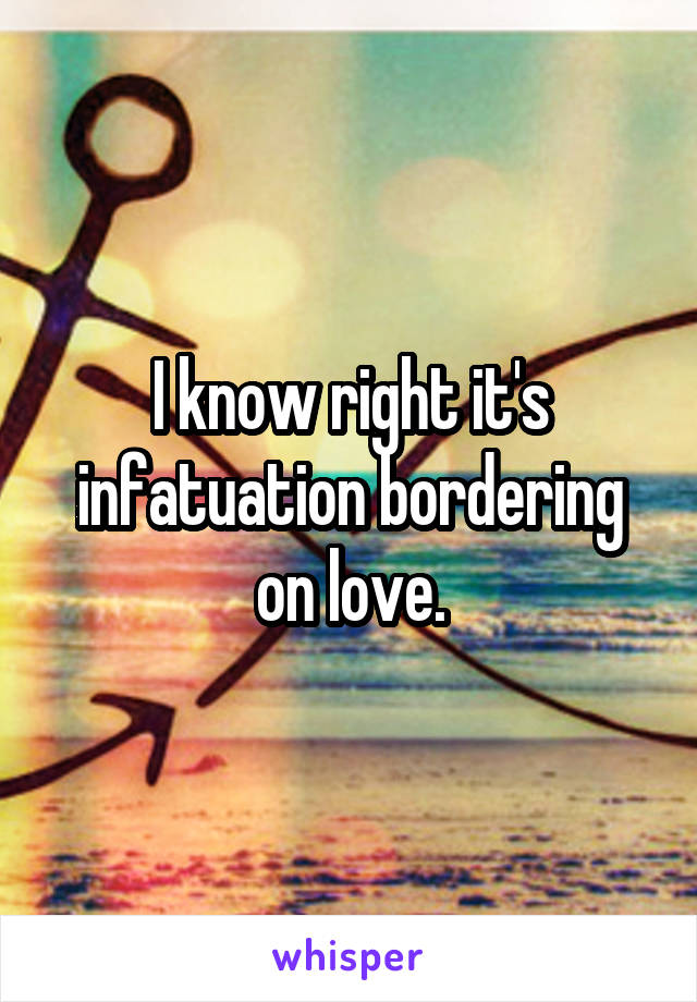 I know right it's infatuation bordering on love.