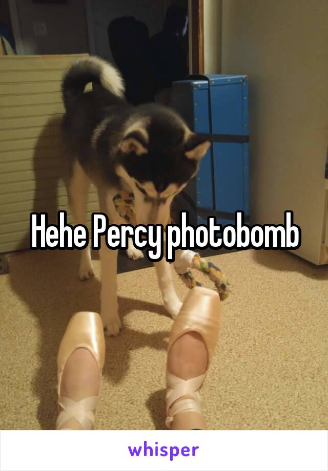 Hehe Percy photobomb