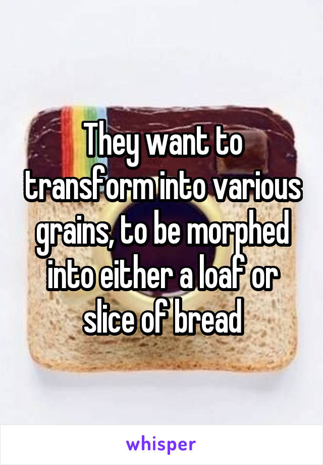 They want to transform into various grains, to be morphed into either a loaf or slice of bread