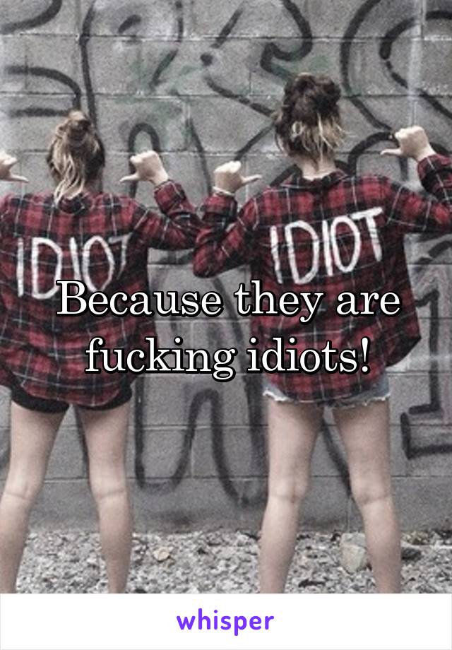 Because they are fucking idiots!