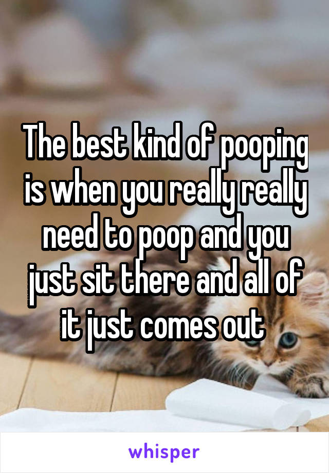 The best kind of pooping is when you really really need to poop and you just sit there and all of it just comes out 