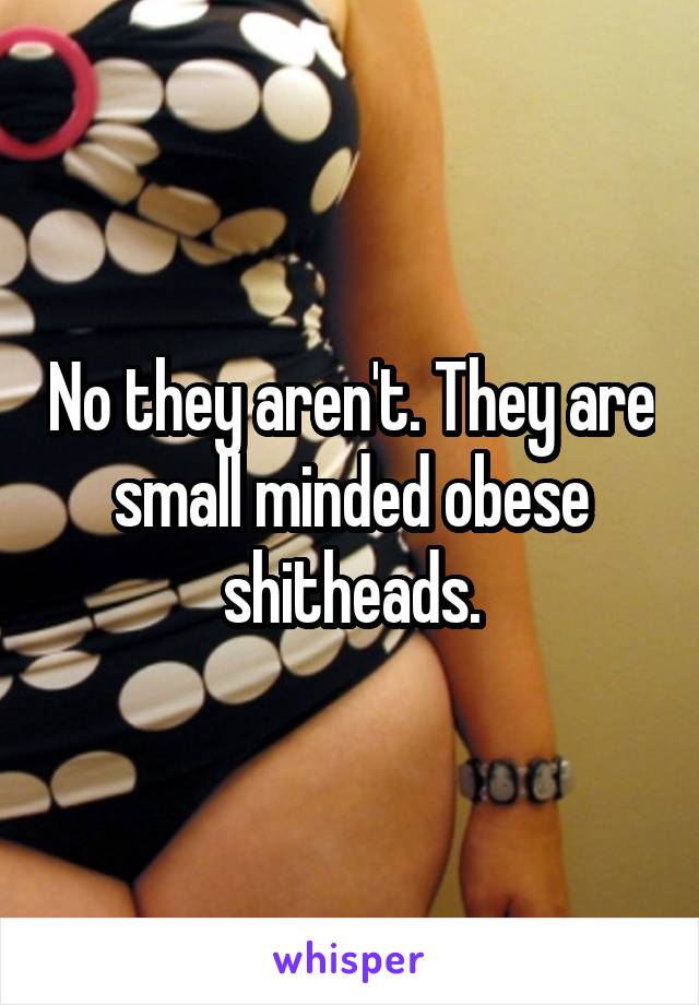 No they aren't. They are small minded obese shitheads.