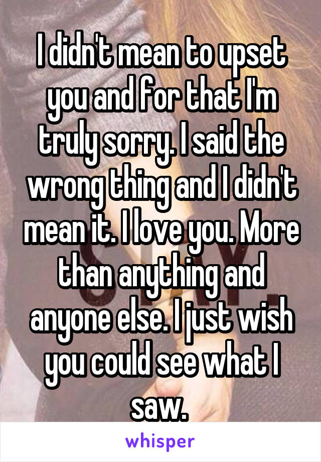 I didn't mean to upset you and for that I'm truly sorry. I said the wrong thing and I didn't mean it. I love you. More than anything and anyone else. I just wish you could see what I saw. 