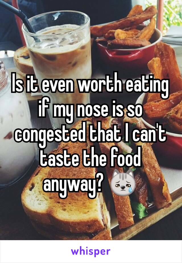 Is it even worth eating if my nose is so congested that I can't taste the food anyway? 😿