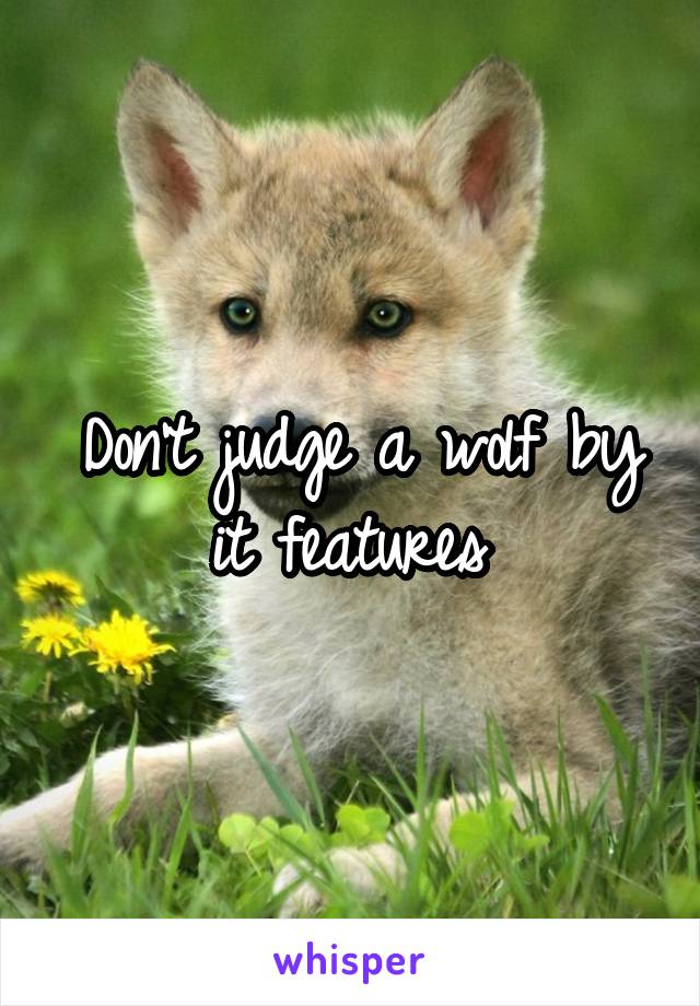 Don't judge a wolf by it features 