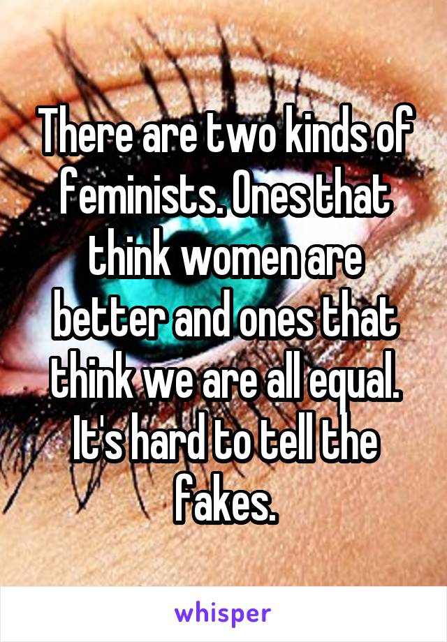 There are two kinds of feminists. Ones that think women are better and ones that think we are all equal. It's hard to tell the fakes.