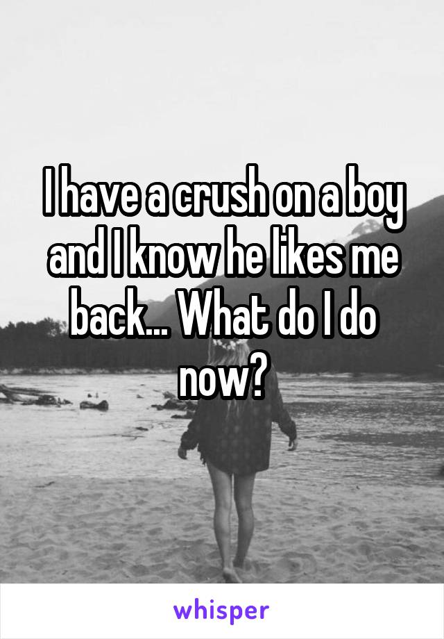 I have a crush on a boy and I know he likes me back... What do I do now?
