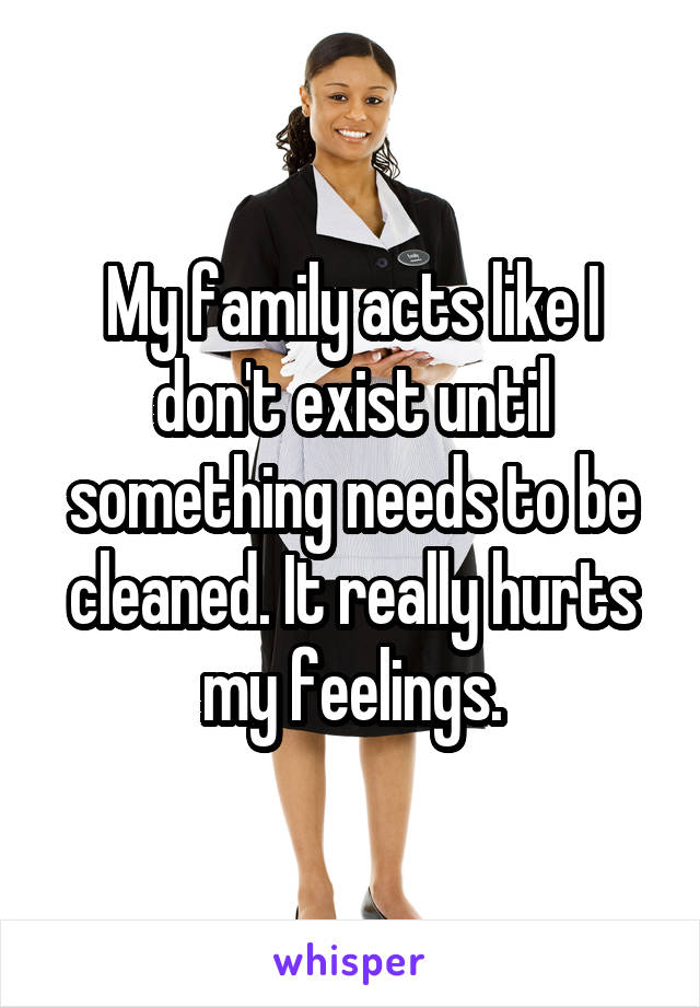My family acts like I don't exist until something needs to be cleaned. It really hurts my feelings.