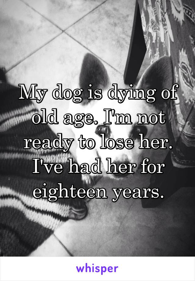 My dog is dying of old age. I'm not ready to lose her. I've had her for eighteen years.