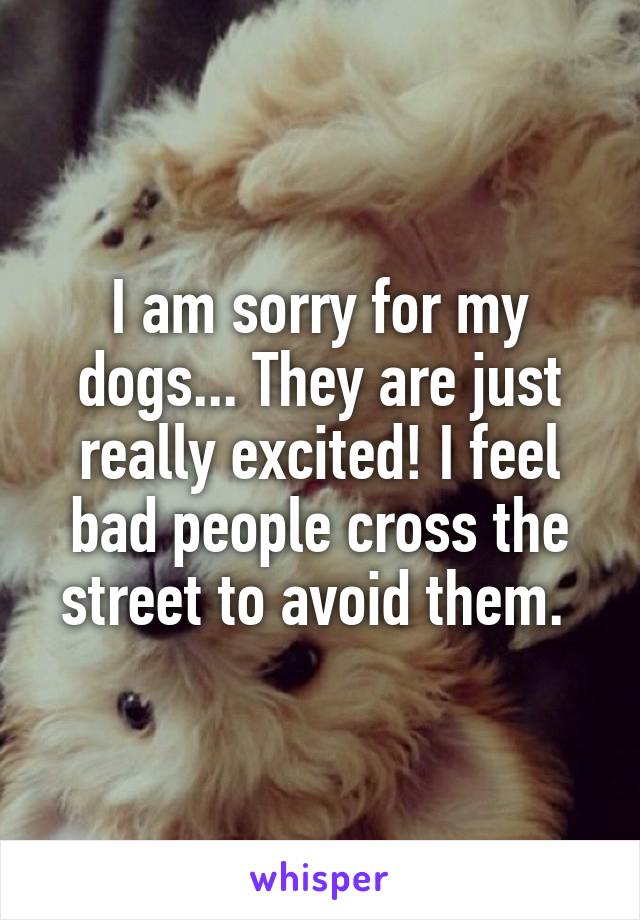 I am sorry for my dogs... They are just really excited! I feel bad people cross the street to avoid them. 