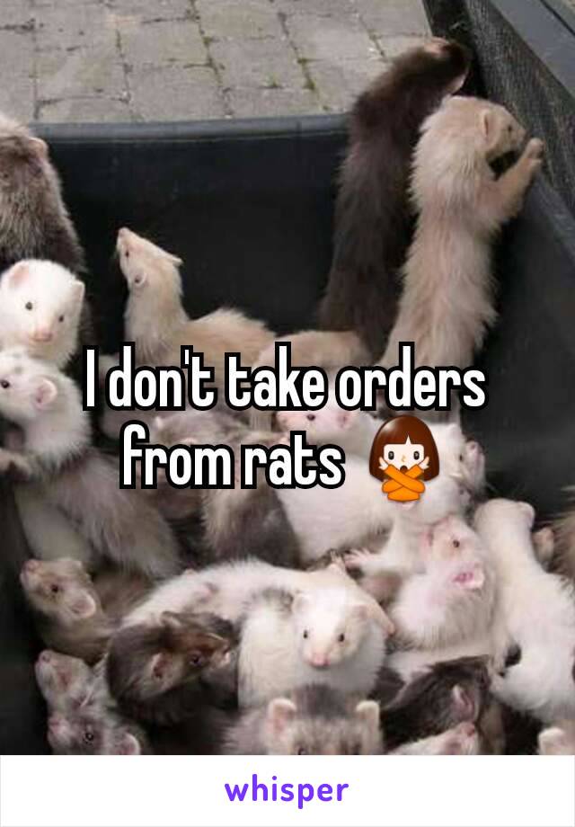I don't take orders from rats 🙅