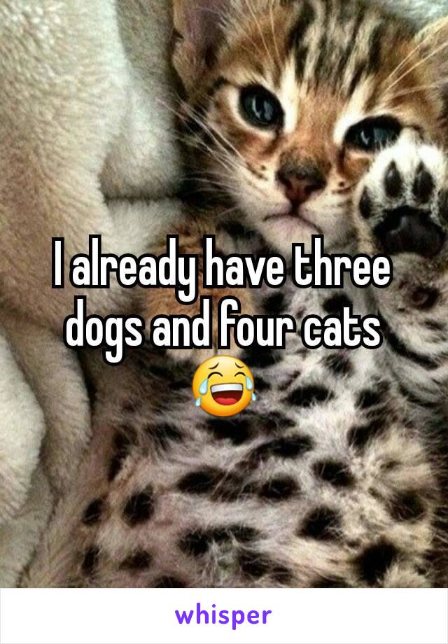 I already have three dogs and four cats 😂