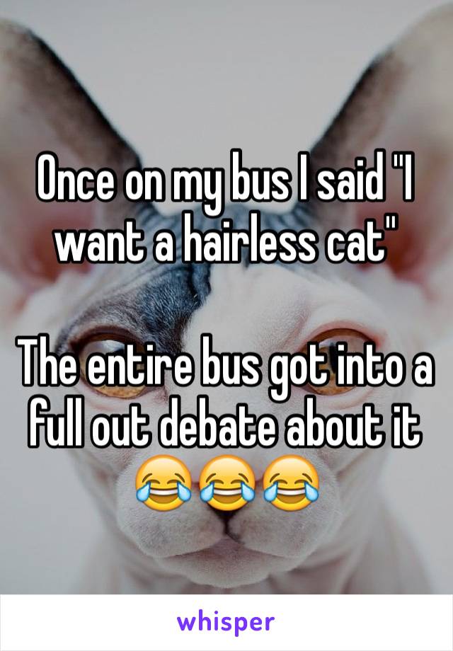 Once on my bus I said "I want a hairless cat"

The entire bus got into a full out debate about it 😂😂😂