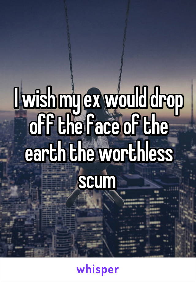 I wish my ex would drop off the face of the earth the worthless scum 