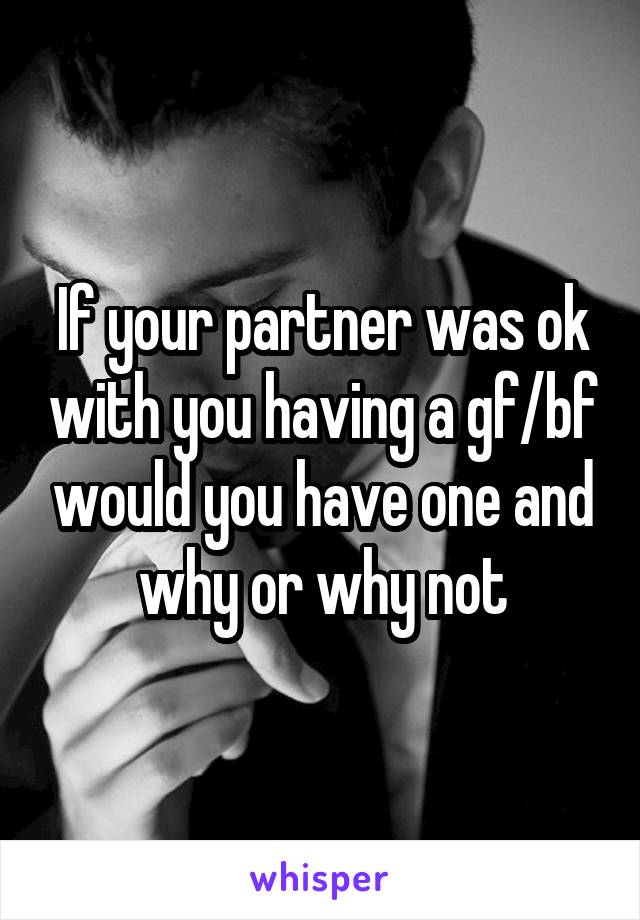 If your partner was ok with you having a gf/bf would you have one and why or why not