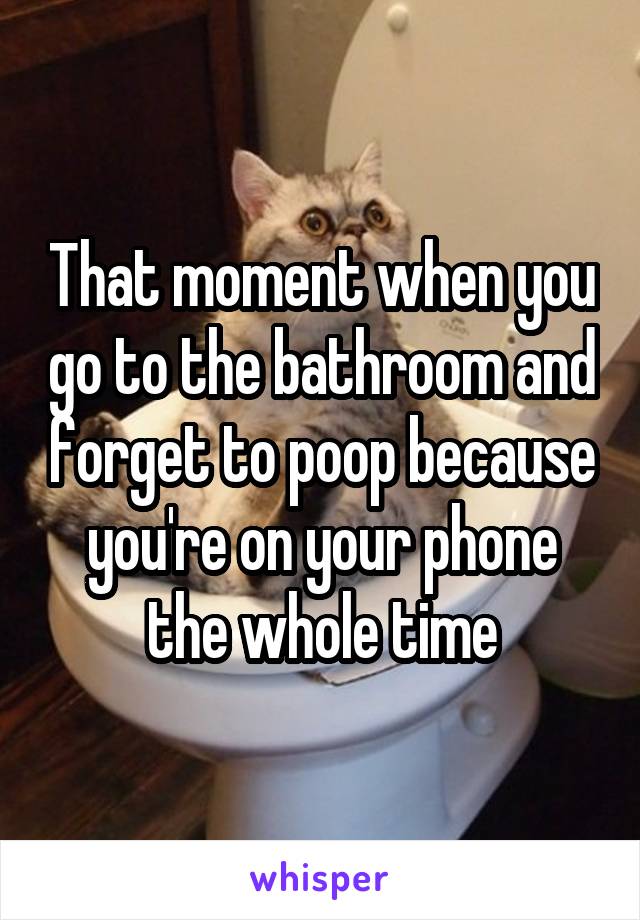 That moment when you go to the bathroom and forget to poop because you're on your phone the whole time