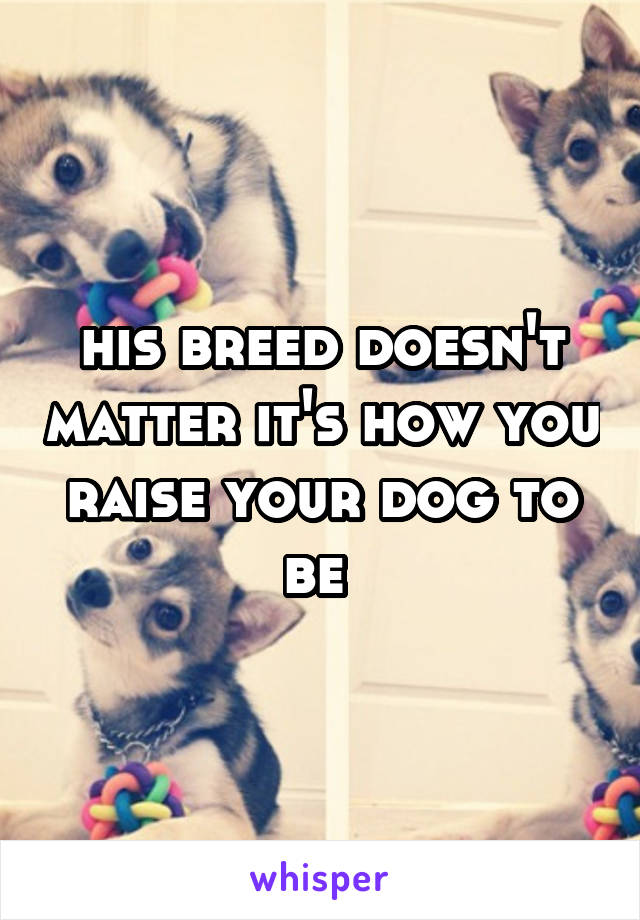 his breed doesn't matter it's how you raise your dog to be 