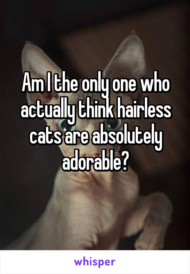 Am I the only one who actually think hairless cats are absolutely adorable?
