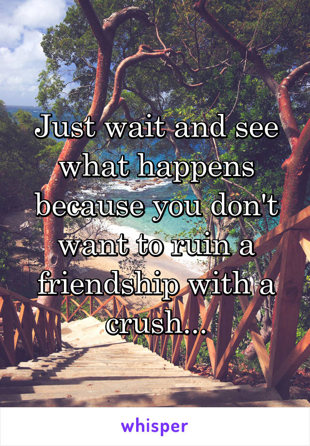 Just wait and see what happens because you don't want to ruin a friendship with a crush...