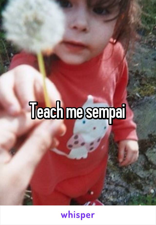 Teach me sempai 