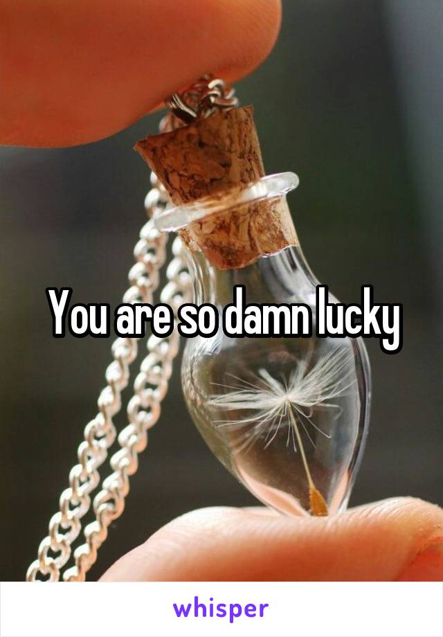 You are so damn lucky