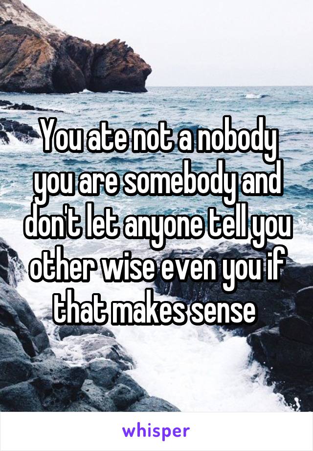 You ate not a nobody you are somebody and don't let anyone tell you other wise even you if that makes sense 