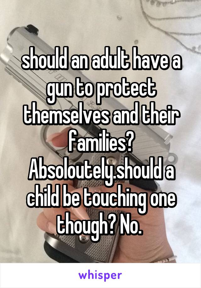 should an adult have a gun to protect themselves and their families? Absoloutely.should a child be touching one though? No. 