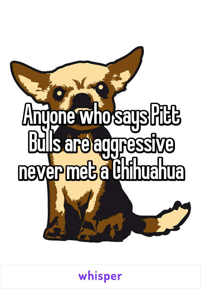 Anyone who says Pitt Bulls are aggressive never met a Chihuahua