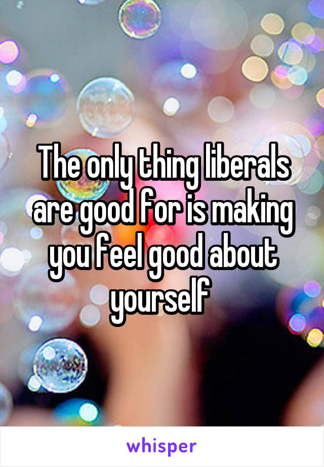 The only thing liberals are good for is making you feel good about yourself 