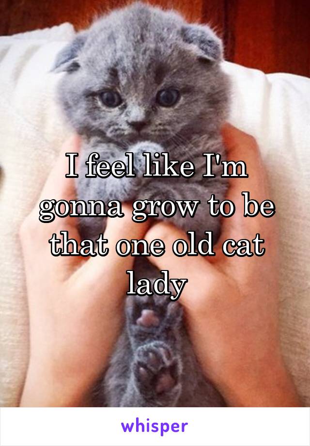 I feel like I'm gonna grow to be that one old cat lady
