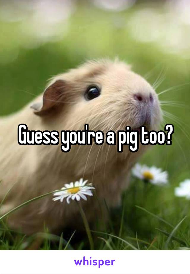 Guess you're a pig too?