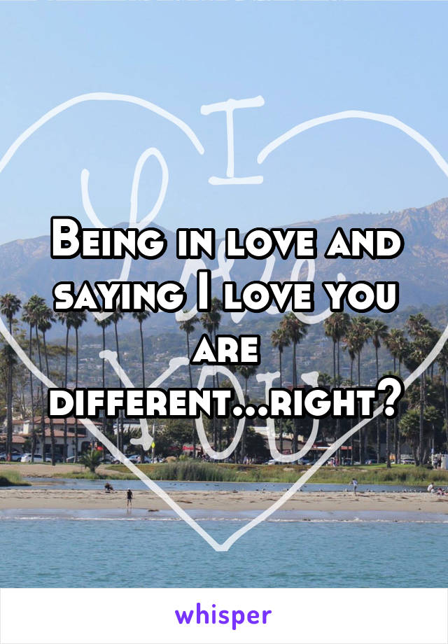 Being in love and saying I love you are different...right?