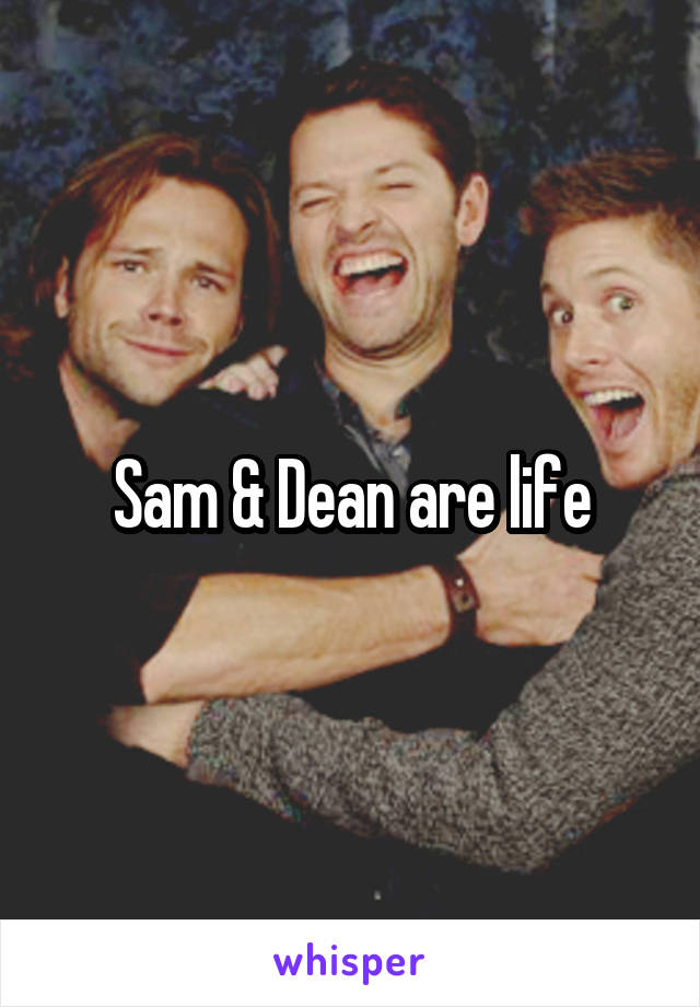 Sam & Dean are life