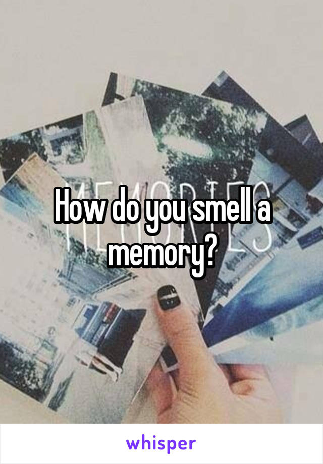 How do you smell a memory?