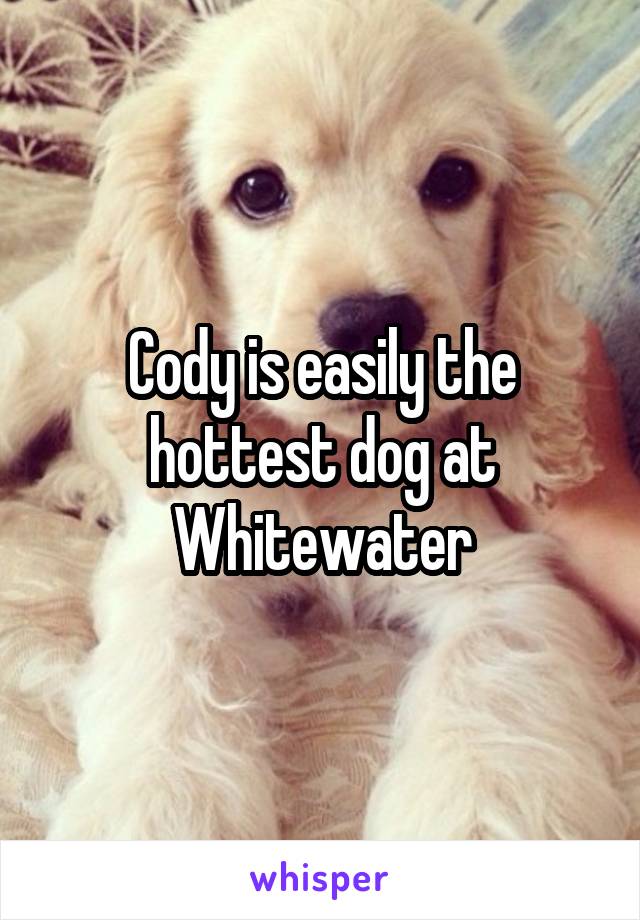 Cody is easily the hottest dog at Whitewater