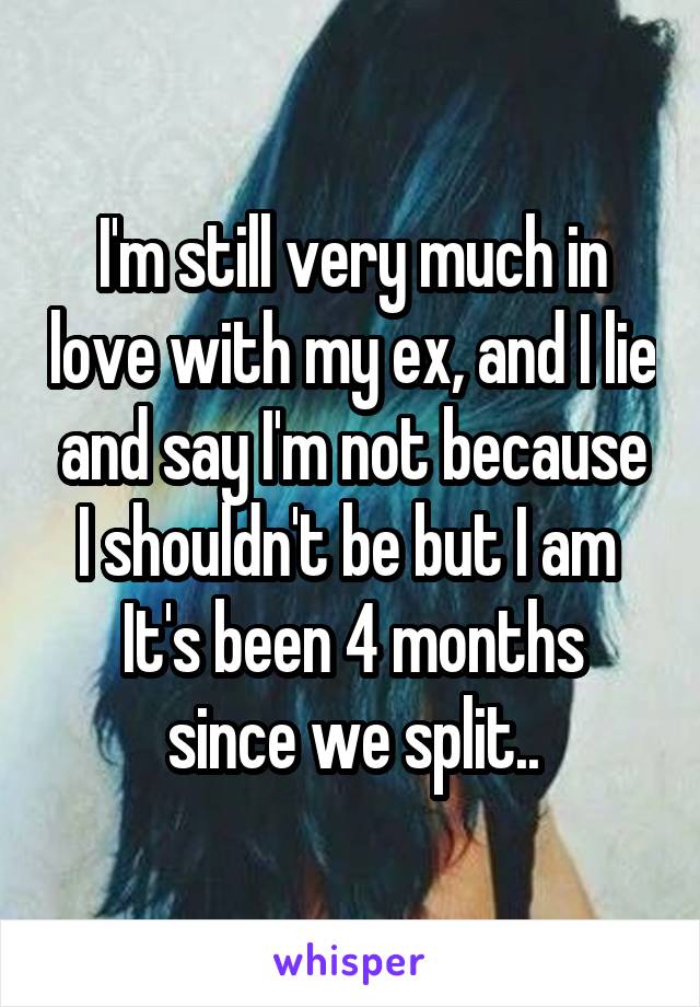 I'm still very much in love with my ex, and I lie and say I'm not because I shouldn't be but I am 
It's been 4 months since we split..