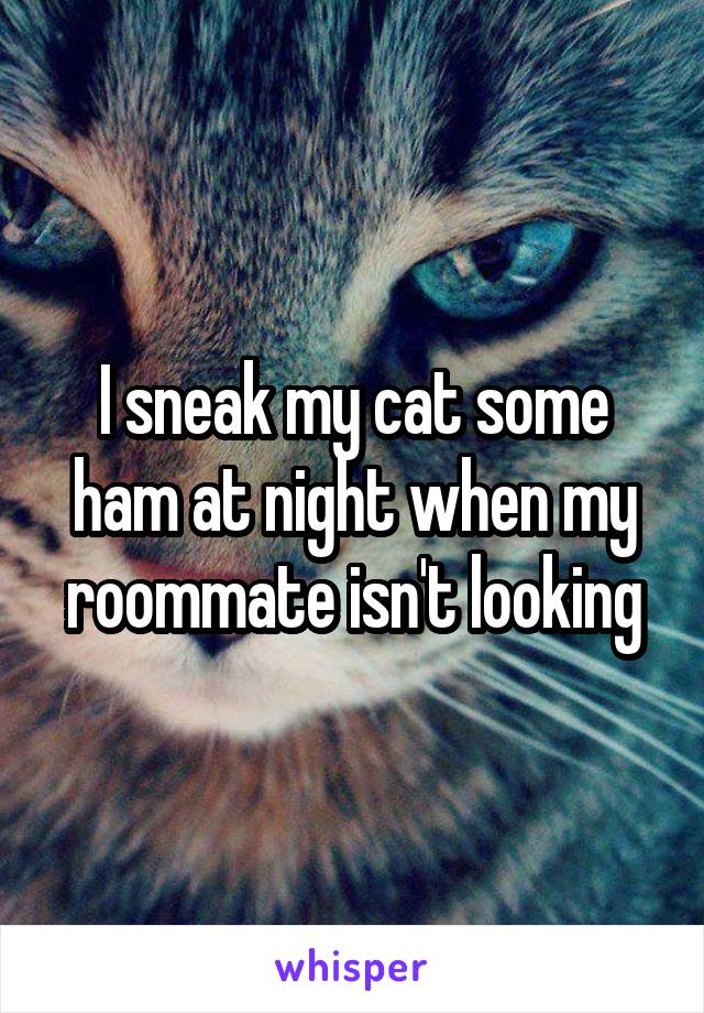 I sneak my cat some ham at night when my roommate isn't looking