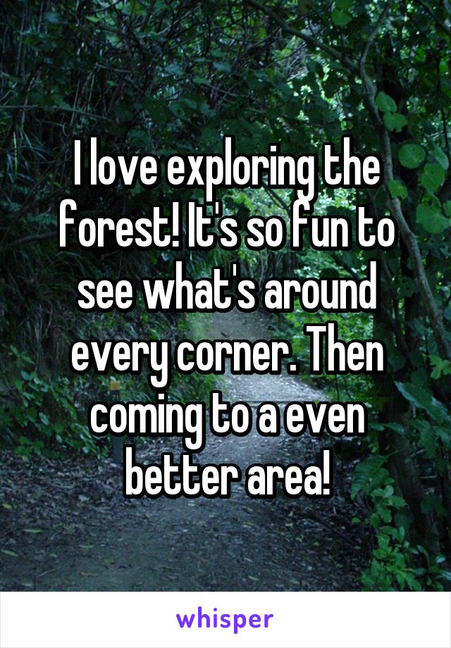 I love exploring the forest! It's so fun to see what's around every corner. Then coming to a even better area!
