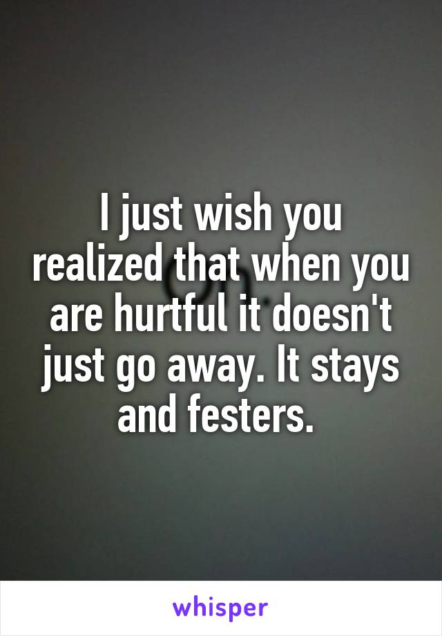 I just wish you realized that when you are hurtful it doesn't just go away. It stays and festers. 