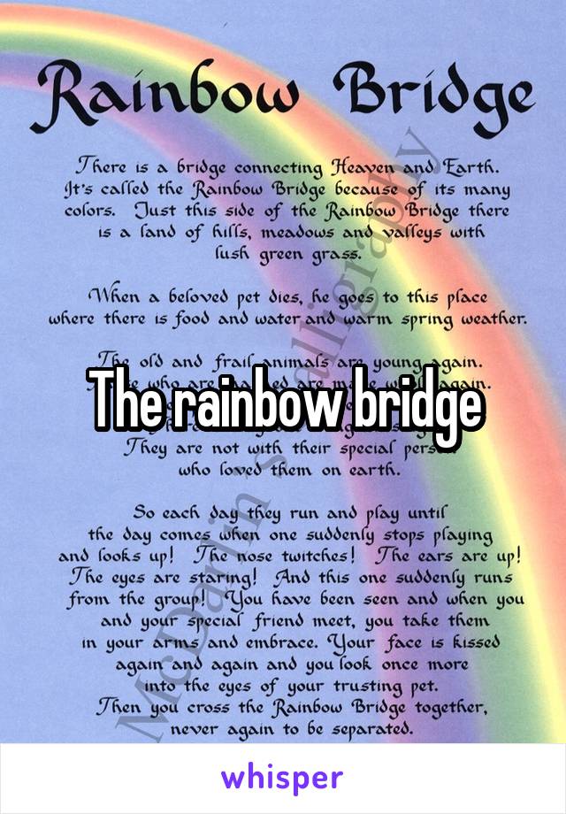 The rainbow bridge