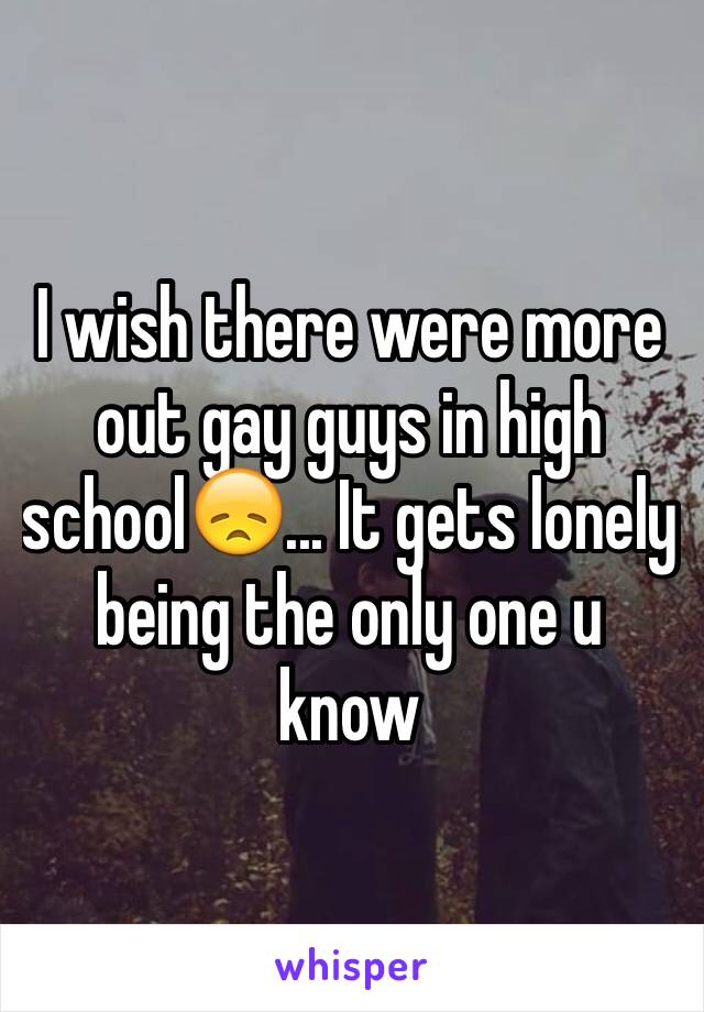 I wish there were more out gay guys in high school😞... It gets lonely being the only one u know