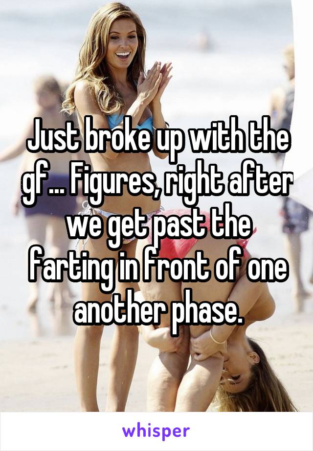 Just broke up with the gf... Figures, right after we get past the farting in front of one another phase.