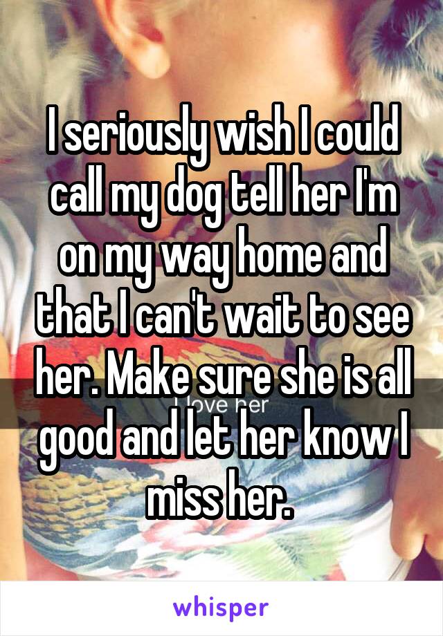 I seriously wish I could call my dog tell her I'm on my way home and that I can't wait to see her. Make sure she is all good and let her know I miss her. 