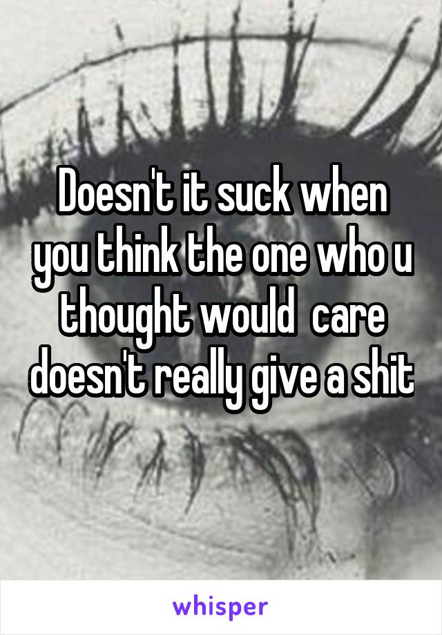 Doesn't it suck when you think the one who u thought would  care doesn't really give a shit 