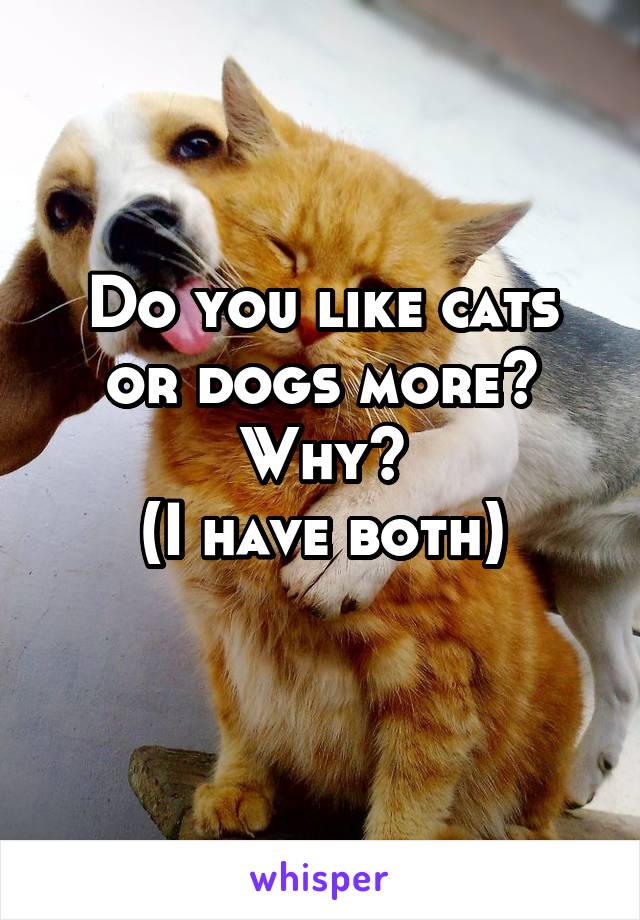 Do you like cats or dogs more? Why?
(I have both)
