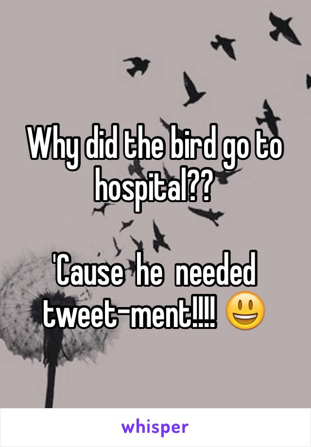 Why did the bird go to hospital??

'Cause  he  needed tweet-ment!!!! 😃