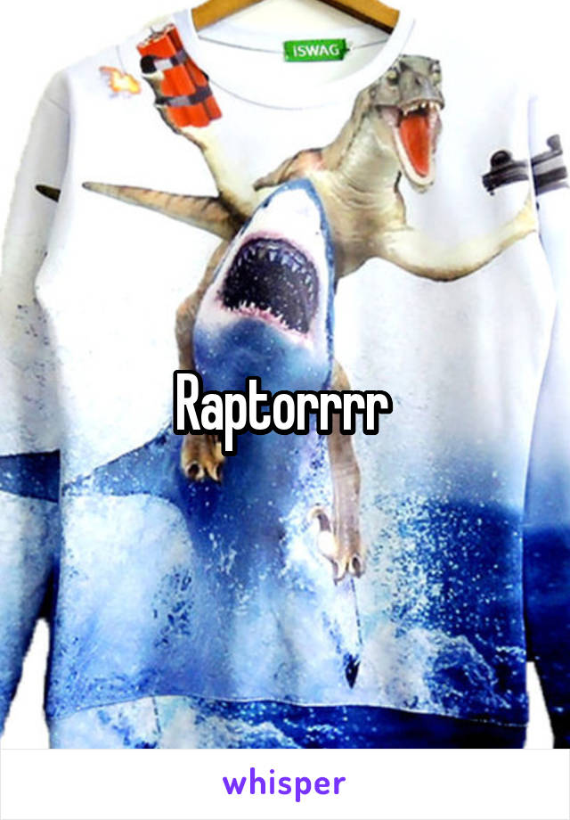 Raptorrrr 